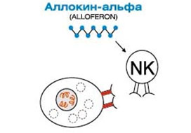 7. Активизация NK-клеток Аллокином-альфа