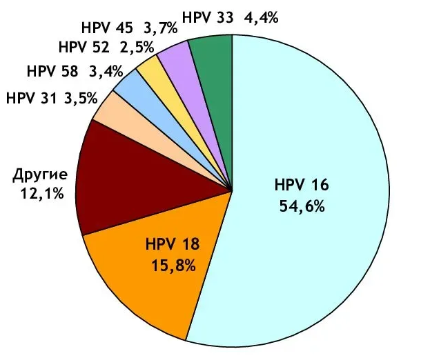 Распространенность онкогенных типов ВПЧ при цервикальном раке